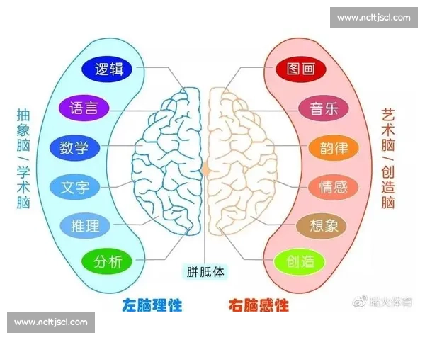 体育管理能力提升路径与实践策略研究探索