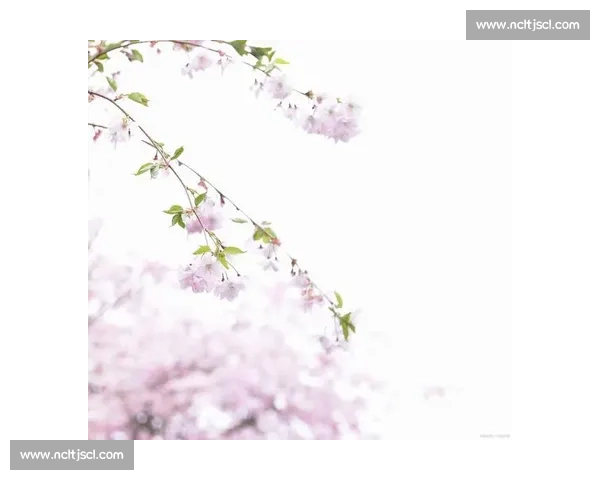 飞花令比赛：在字句间流转的诗意与智慧的碰撞