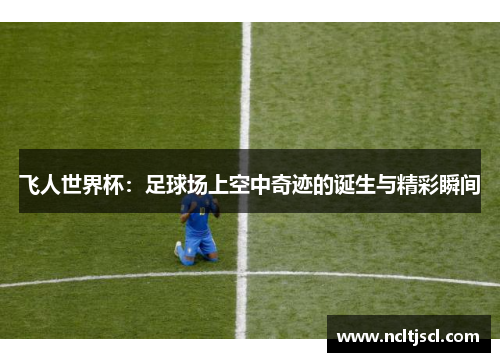飞人世界杯：足球场上空中奇迹的诞生与精彩瞬间